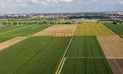 TOKİ Taşınmazları Açık Artırmayla Satışa Çıkaracak