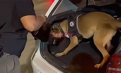 Uyuşturucuda Dev Operasyon 1811 Kişi Gözaltında