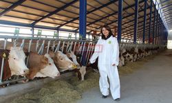 TKDK’dan Hayvancılık Sektörüne 43 Milyon Avroluk Yeni Hibe Paketi