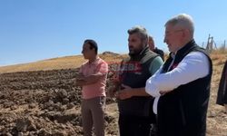 Çorum’a 63 Bin m2’lik Şehir Ormanı