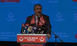 Destici, “Soytarı Kılıklı Şarkıcılar, Dizilerle Milletimizi Çürütüyorlar”