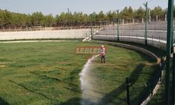 Güreş Sahası Festivale Hazırlanıyor