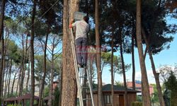 Tabiat Parkı Işıl Işıl Aydınlatıldı