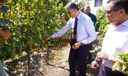 Kaymakam Duman Tescilli Üzümleri İnceledi