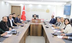 Ailenin Korunması Ve Güçlendirilmesi İl Eylem Planı Görüşüldü