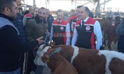 Hayvan Pazarı Açıldı