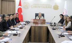 Kadının Güçlenmesi İl Eylem Planı Hazırlık Toplantısı Yapıldı