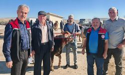 Hayvan ve Halk Sağlığı Konusunda Taviz Verilmeyecek