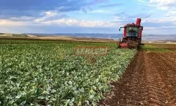 Çiftçilere Müjdeli Haber Geldi! Ödemeler Başlıyor