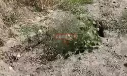 O Köyde Tarlalarda Çökmeler Başladı