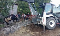 Kuyuya Düşen İnek Ekiplerce Kurtarıldı
