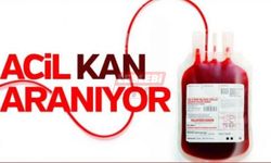 Acil Kan Aranıyor