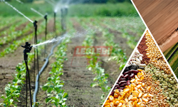 Çiftçiler Dikkat! Destekleme Ödemeleri Hesaplara Yattı