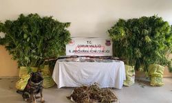 Jandarma Uyuşturucu Tacirlerine Göz Açtırmıyor