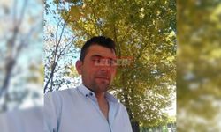 Devrilen Ağacın Altında Can Verdi