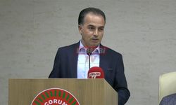 İki Köyün İstinat Duvarı İçin 2.3 Milyon Lira Ayrılması İstendi
