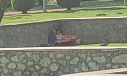 Güpegündüz Parkta İlişki İddiası!