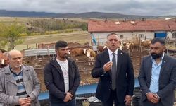 Milletvekili Tahtasız: Hayvancılıkta Tehlike Çanları Çalıyor