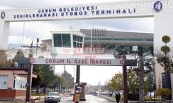 Kurumlar Zarara Uğratılırken Yöneticilerin Sessizliğinin Sebebi Ne?