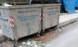 Konteyner Dışına Sürekli Dökülen Pislik “Yeter Artık “ Dedirtti