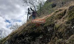 Osmancık Belediyesi Kale ve Parklardaki Aydınlatma Sorunlarını Giderdi