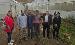 Hibeli Sera Örtüsü Kullanan Çiftçilerle Bir Araya Gelindi