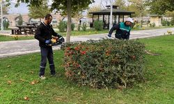 Osmancık Belediyesi Parkların Bakımını Yaptı