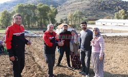 Tarım Müdürü Taş Safran Ekimini İnceledi