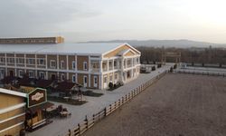 Atlar Ve Binicileri Dayanıklılıkta Yarışacak