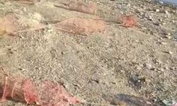 Barajda Sepet Ağ Skandalı!