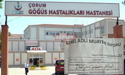 Hastanede Skandal, Hemşir Doktoru Darp Etti