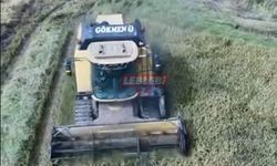 Yeşilköy Ovası’nda Çeltik Hasadı Başladı