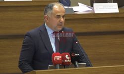 Çorum’da Orta Anadolu Arı Irkı Yaygınlaştırılacak