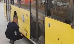 Yine Halk Otobüsü, Yine Şikayet!