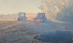 620 Dönüm Alan Kül Oldu