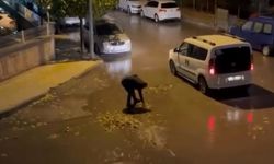 Helal Olsun Sana!