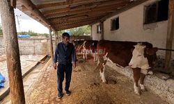 TULİP Orman Köylüsünün Yüzünü Güldürüyor