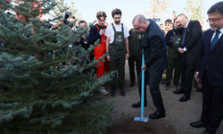 11 Kasım Milli Ağaçlandırma Günü'nde Fidan Dikme Rekoru Kırıldı
