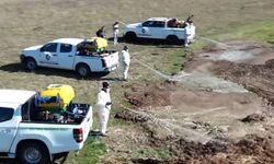 Çorum’da Sinekle Mücadele Devam Ediyor