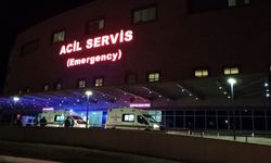 Keçinin Saldırdığı Kadın Can Verdi