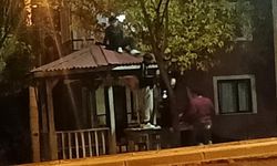 Parklarda Böylesi Görülmedi!