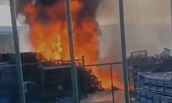 Halde Korkudan Yangın