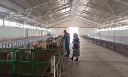 Alacalı Üreticiye Süt Sağım Ünitesi