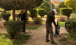 Belediye Ekipleri Parklarda Düzenleme Yaptı