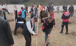 150 Çınar Fidanı Toprakla Buluştu