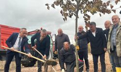 CHP’liler Eskiyapar’da Fidanları Toprakla Buluşturdu