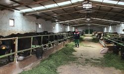 Manda Islahı Konusunda Kontroller Devam Ediyor