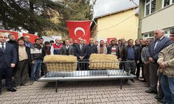 İskilip’te Yetiştiricilere Hayvansal Destek