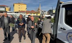 Alaca Belediyesi Fidan Dağıttı