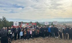 Dodurga’da Fidan Dikim Etkinliği Düzenlendi
